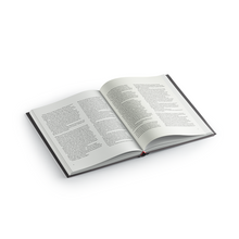 Load image into Gallery viewer, The Eternal Buzz and The Crock of Gold #11-#100 - Inc. Limited Print