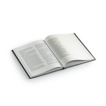 Load image into Gallery viewer, Special edition of The Eternal Buzz and The Crock of Gold #1